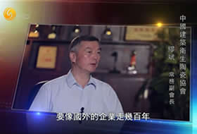 鳳凰衛(wèi)視專題片