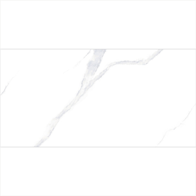 GJT84673北極白